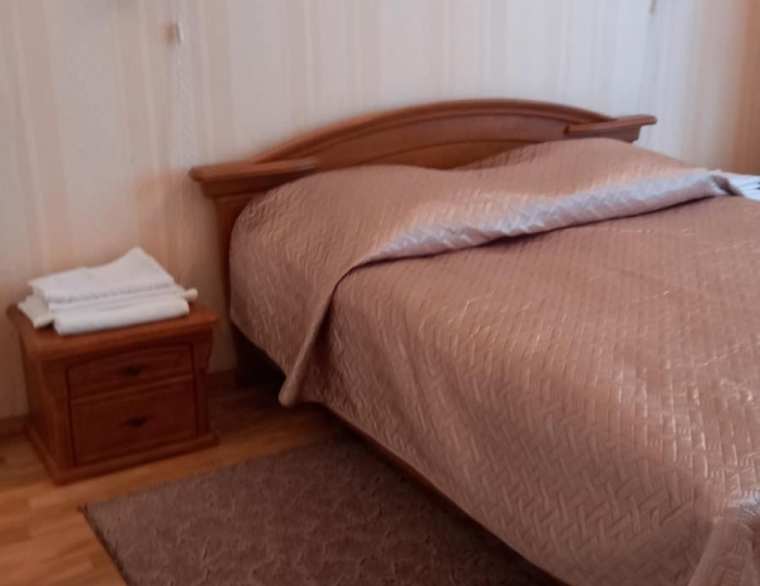 1-местный номер полулюкс с 1 двуспальной кроватью - Санаторий «Солнечный» Братск